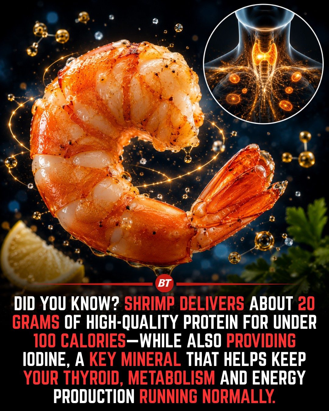 **Shrimp: Lean Protein and Iodine for Thyroid Health**