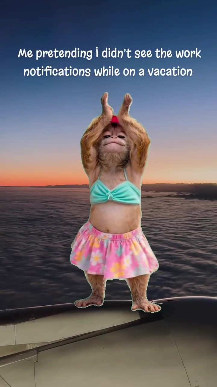 Monkey on Vacation: The Funny Side of Ignoring Work