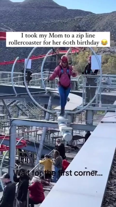 Thrilling Zip Line Roller Coaster Adventure