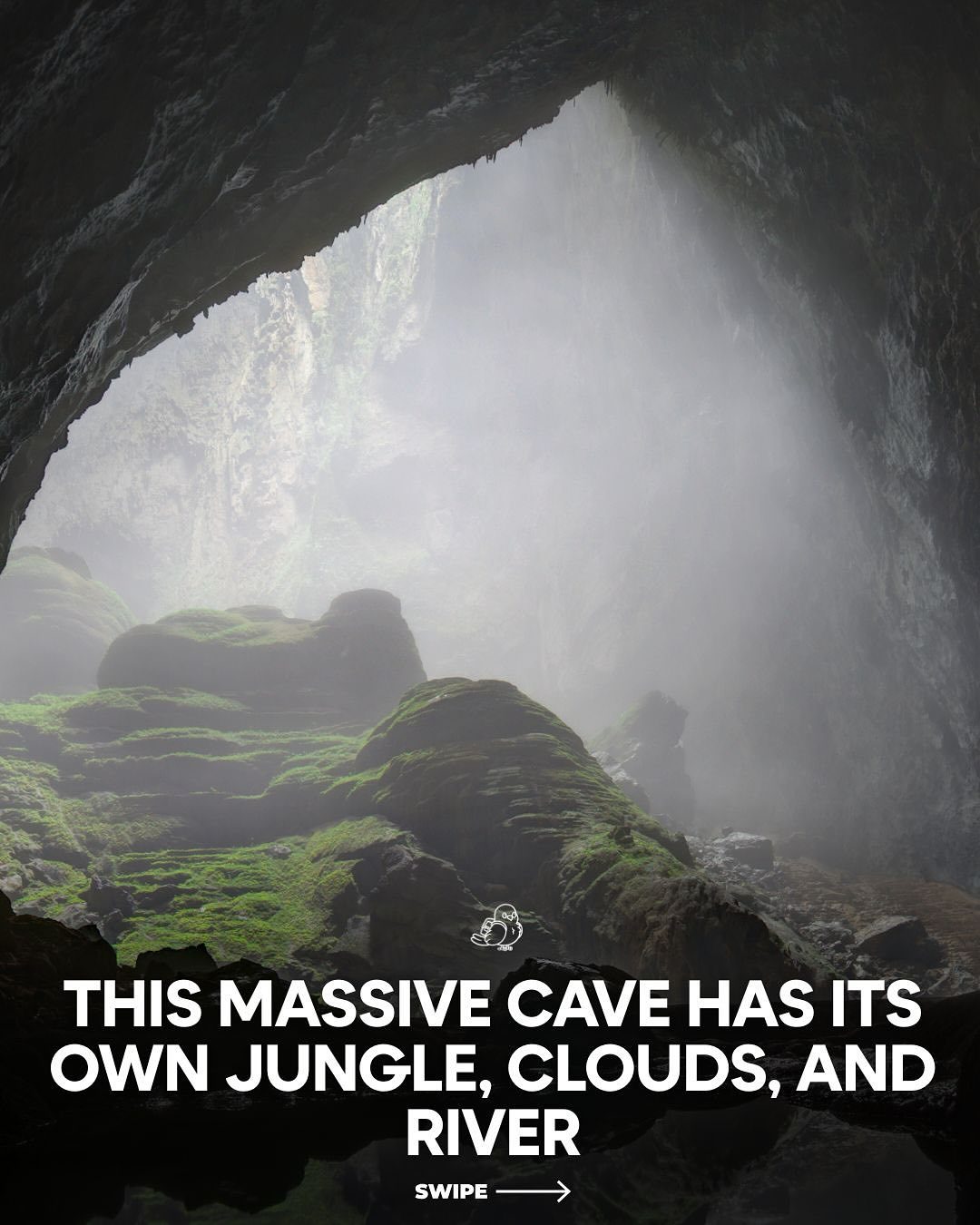 Explore Son Doong: The World's Largest Cave with Its Own Ecosystem