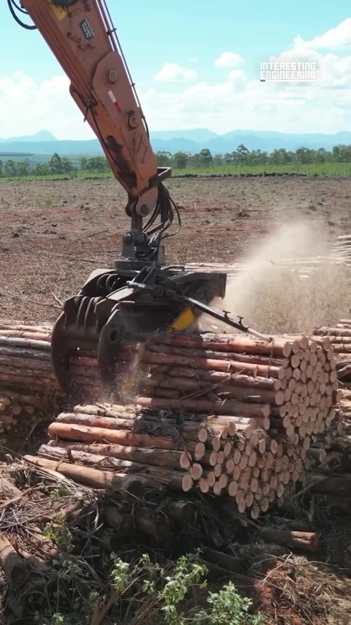 Efficient Timber Harvesting: Revolutionizing Forestry with Excavators