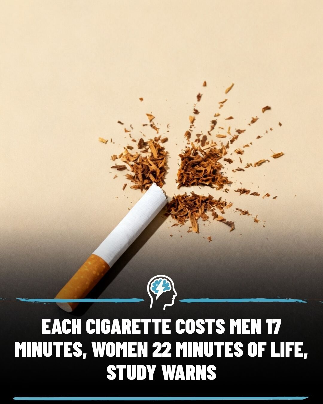 Cigarettes Cut Life Expectancy: New Study Details the Impact