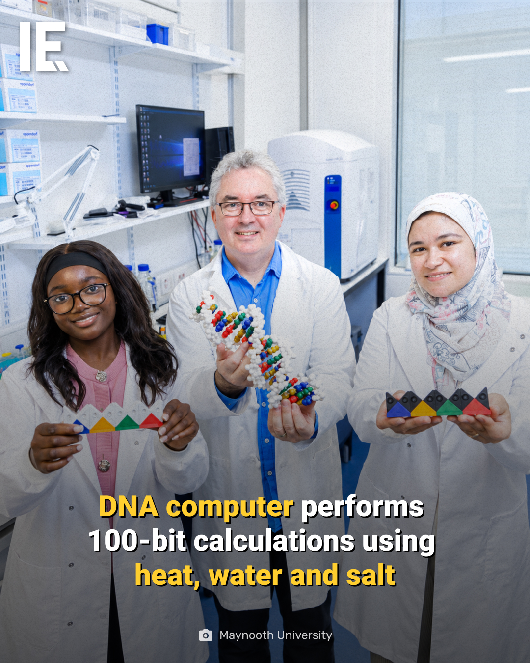 DNA Computer Demonstration at Maynooth University