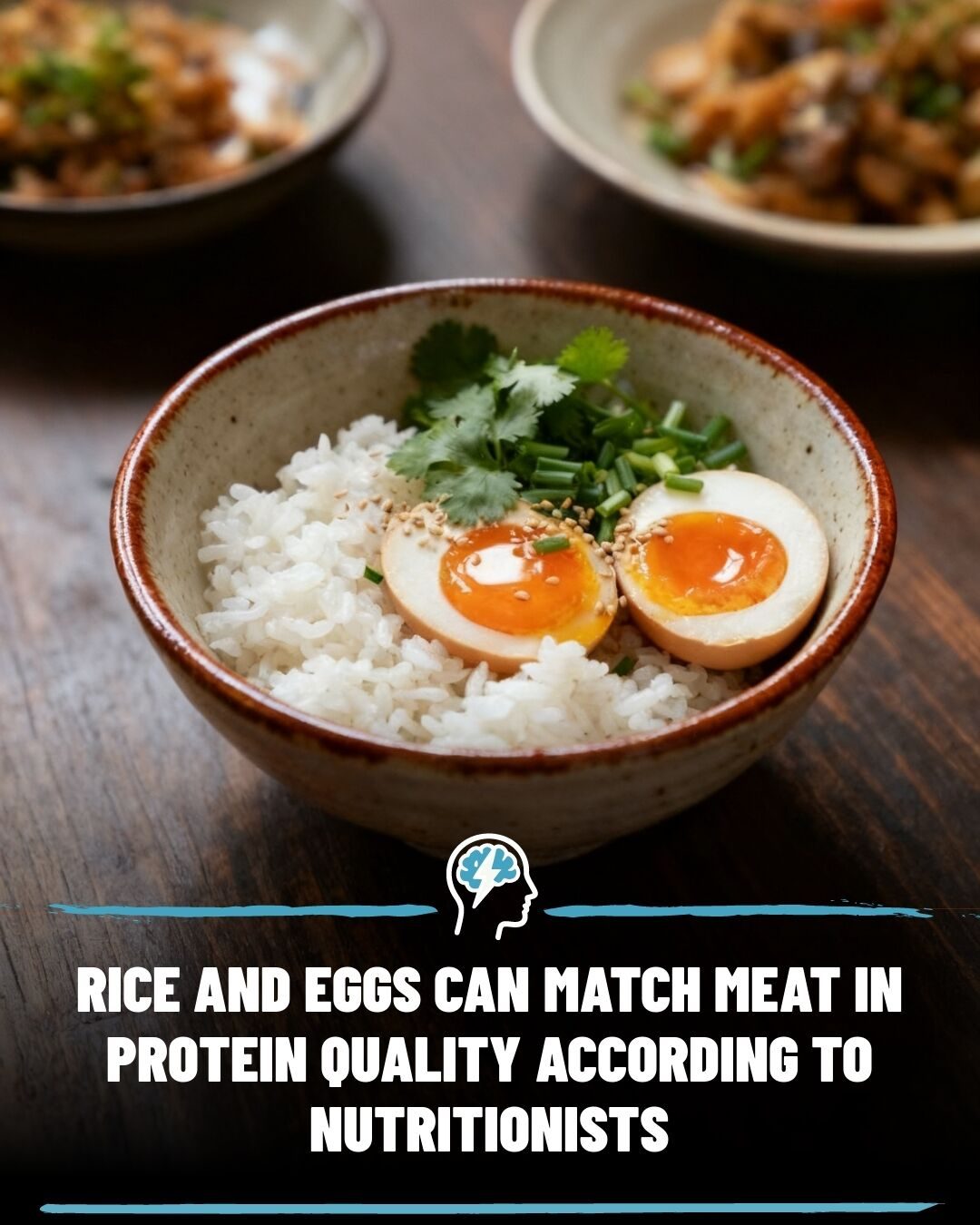 Rice and Eggs: A Protein-Packed Meal for A Balanced Diet