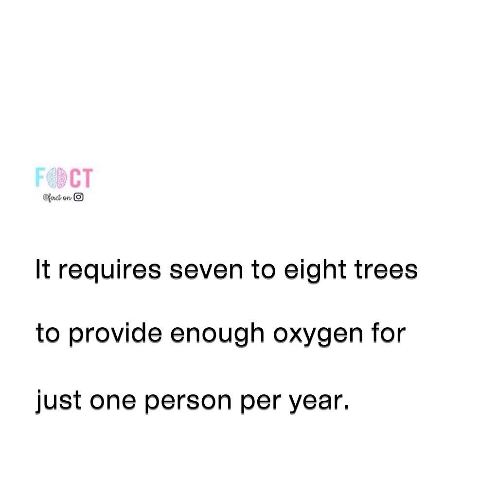 How Many Trees Do We Need for One Person's Oxygen?