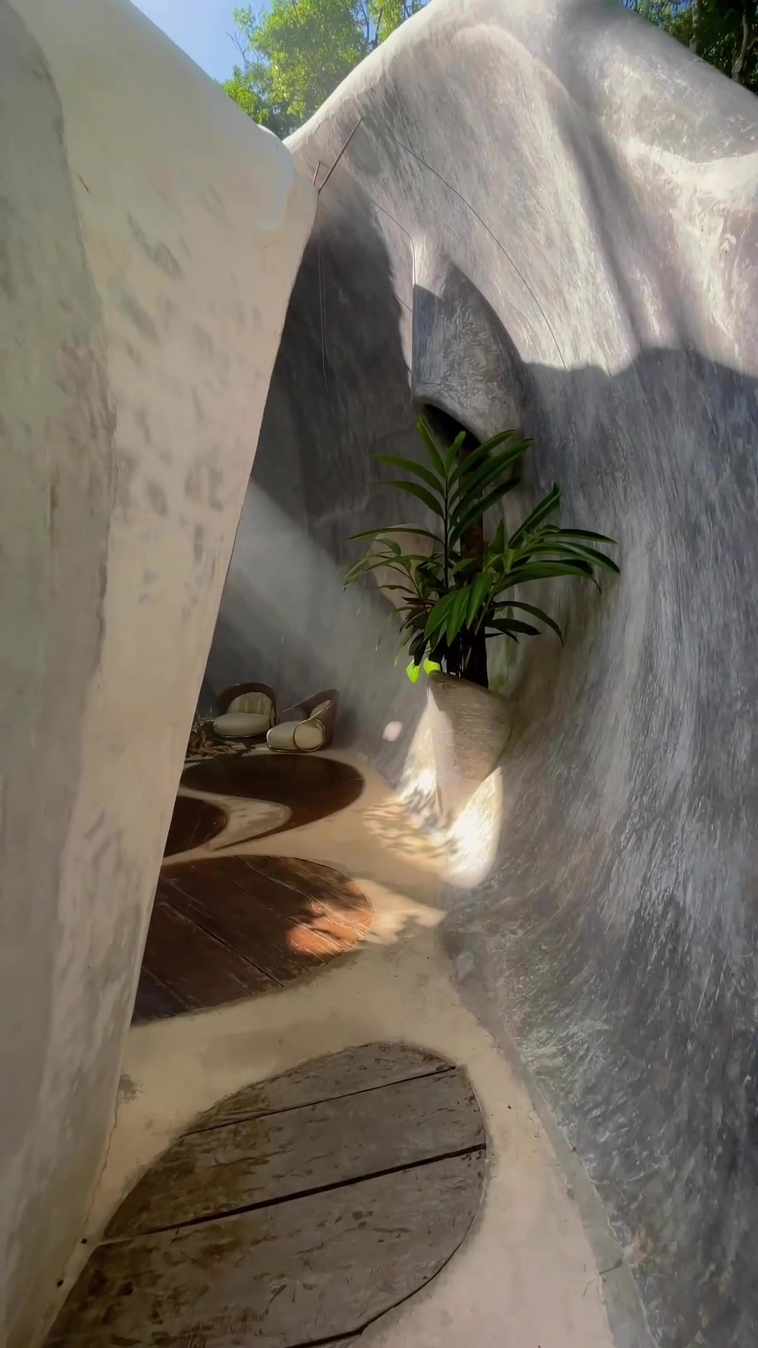 Unique Organic Interior Space Design with Natural Elements