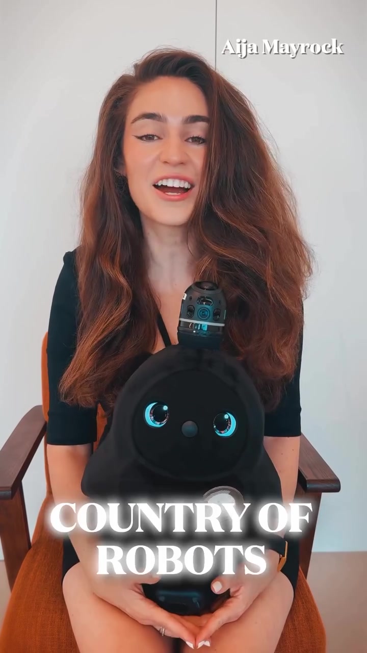 Japan's Lovat Robot Pet: Combating Loneliness
