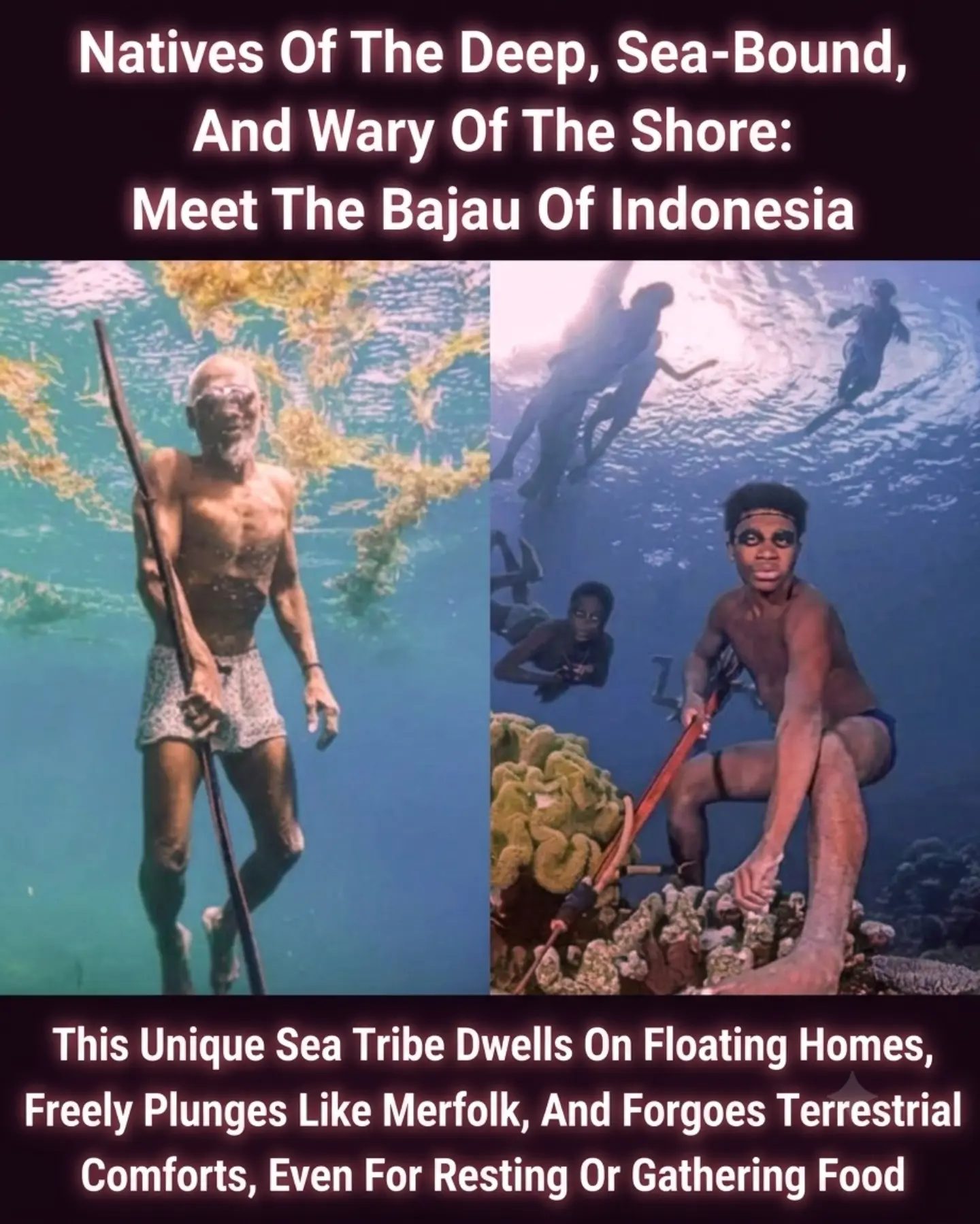 The Bajau: Indonesia's Sea Nomads Living on Water