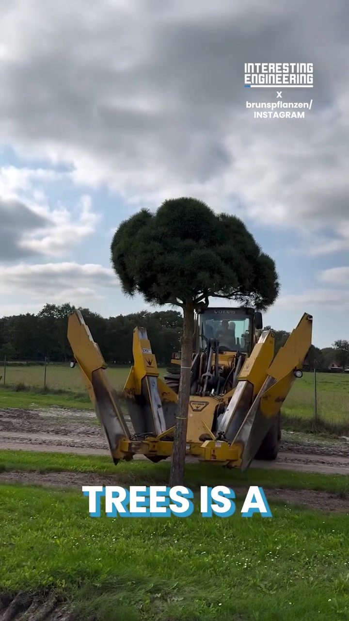 Tree Transplanting Machines: Precision Tools for Tree Relocation