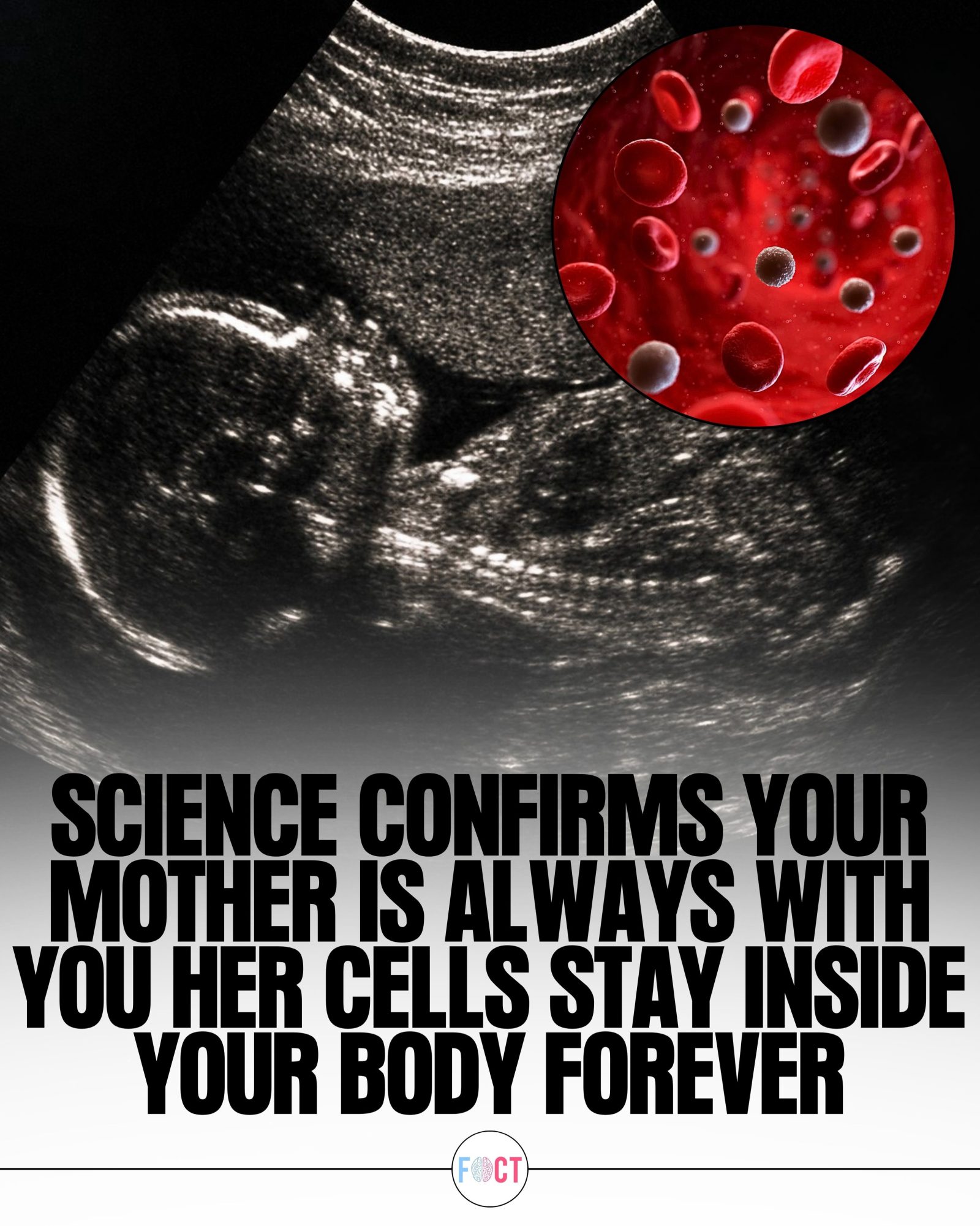 Microchimerism: How Mother's Cells Remain in Your Body Forever