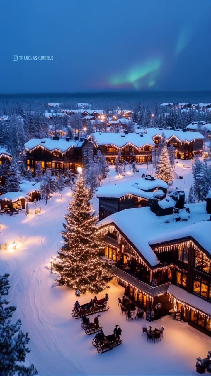Experience the Magic of Northern Lights in Winter Wonderland