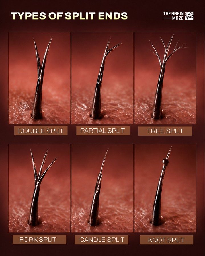 Understanding Split Ends: Types and Causes