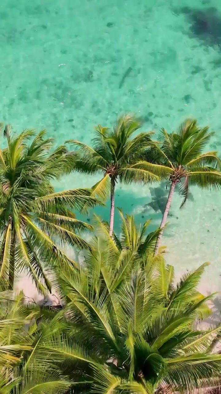 Koh Laoya, Koh Chang, and Koh Lipe: Thailand's Hidden Gems