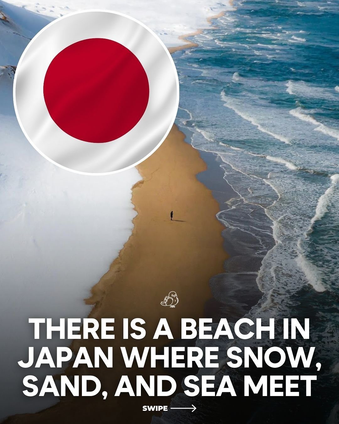 Discover Shirahama Beach: Japan's Enchanting Winter Wonderland