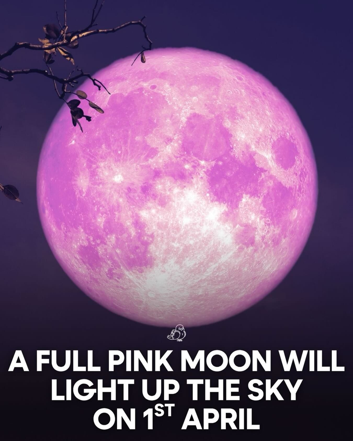 April 2024 Pink Moon: History and Viewing Tips