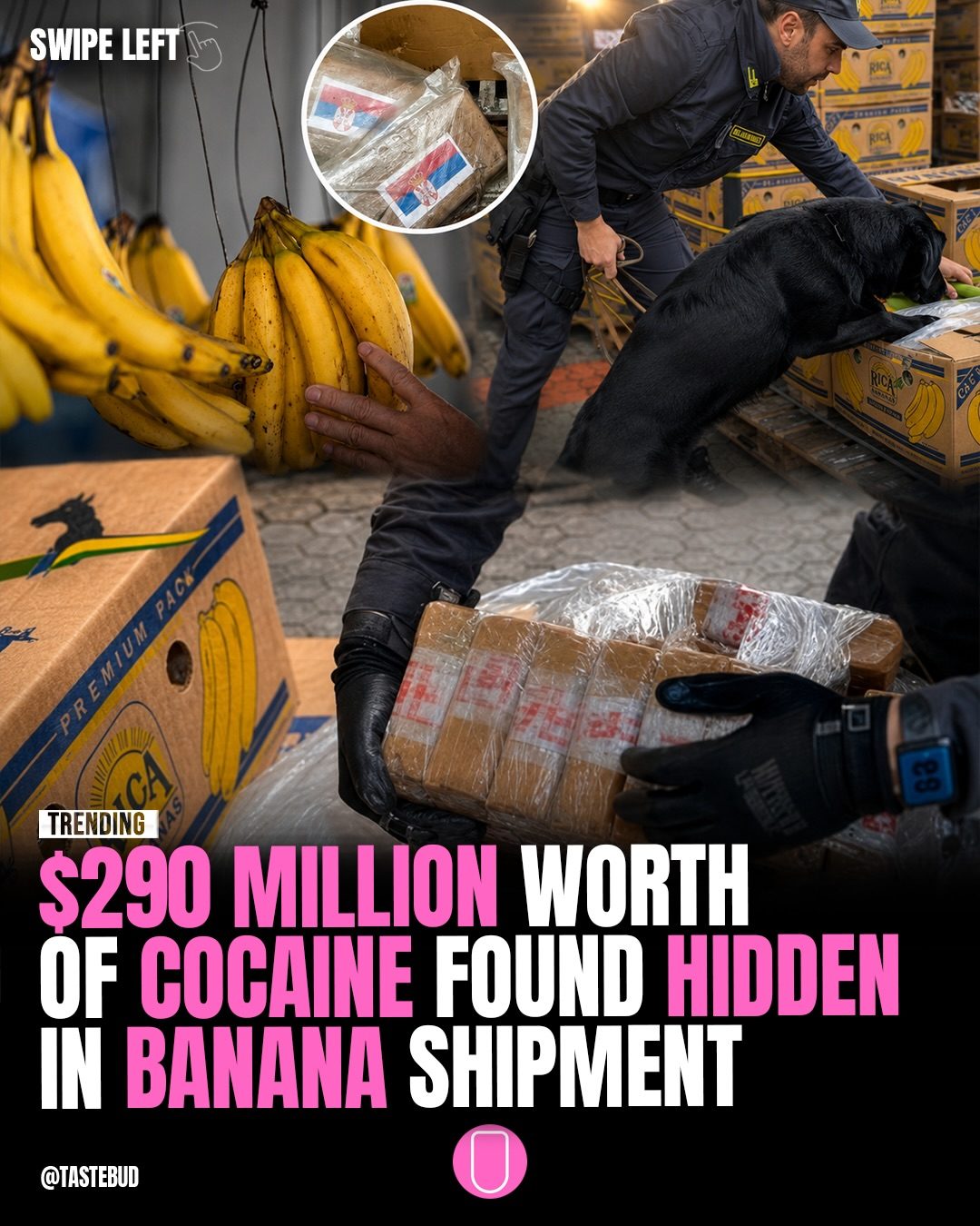 Italy's Banana Shipment: $290M Cocaine Seized