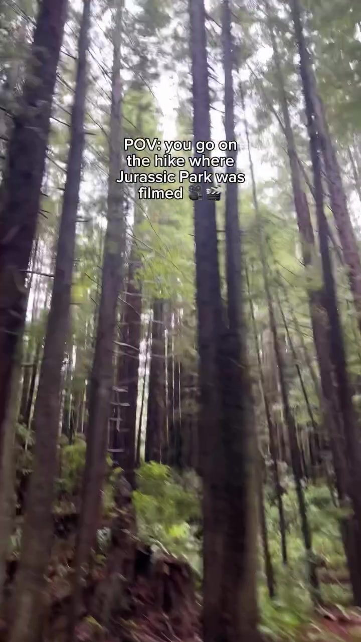 Fern Canyon Hike: Jurassic Park Filming Location