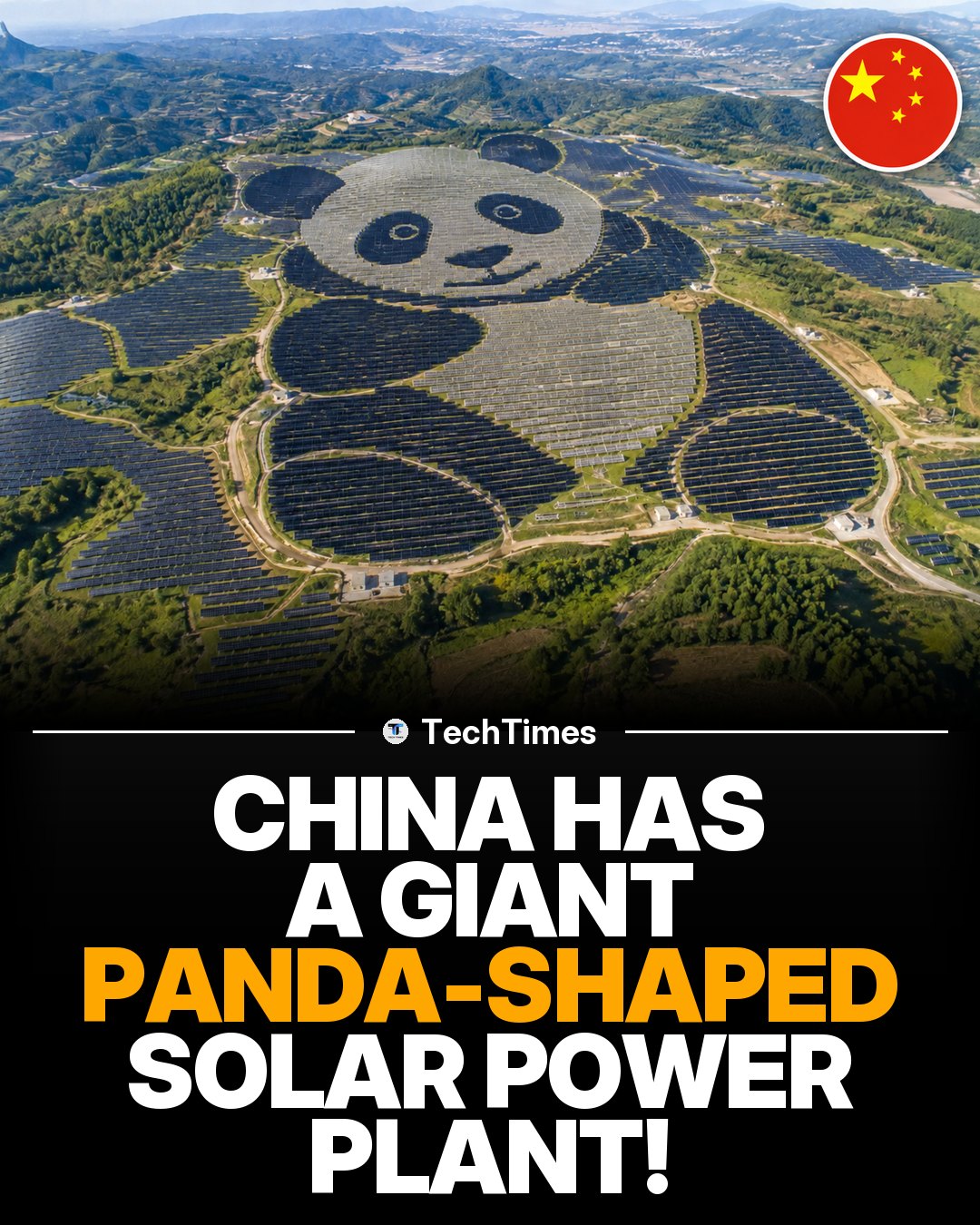 China's Giant Panda Solar Farm: Renewable Energy Innovation