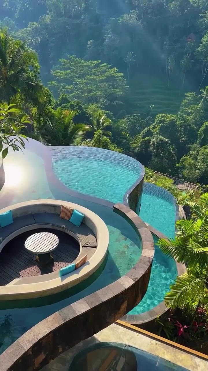 Luxury Infinity Pool: Tropical Forest View
