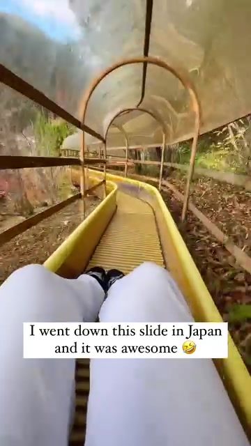 Experience Thrilling Slides in Japan's Unique Parks