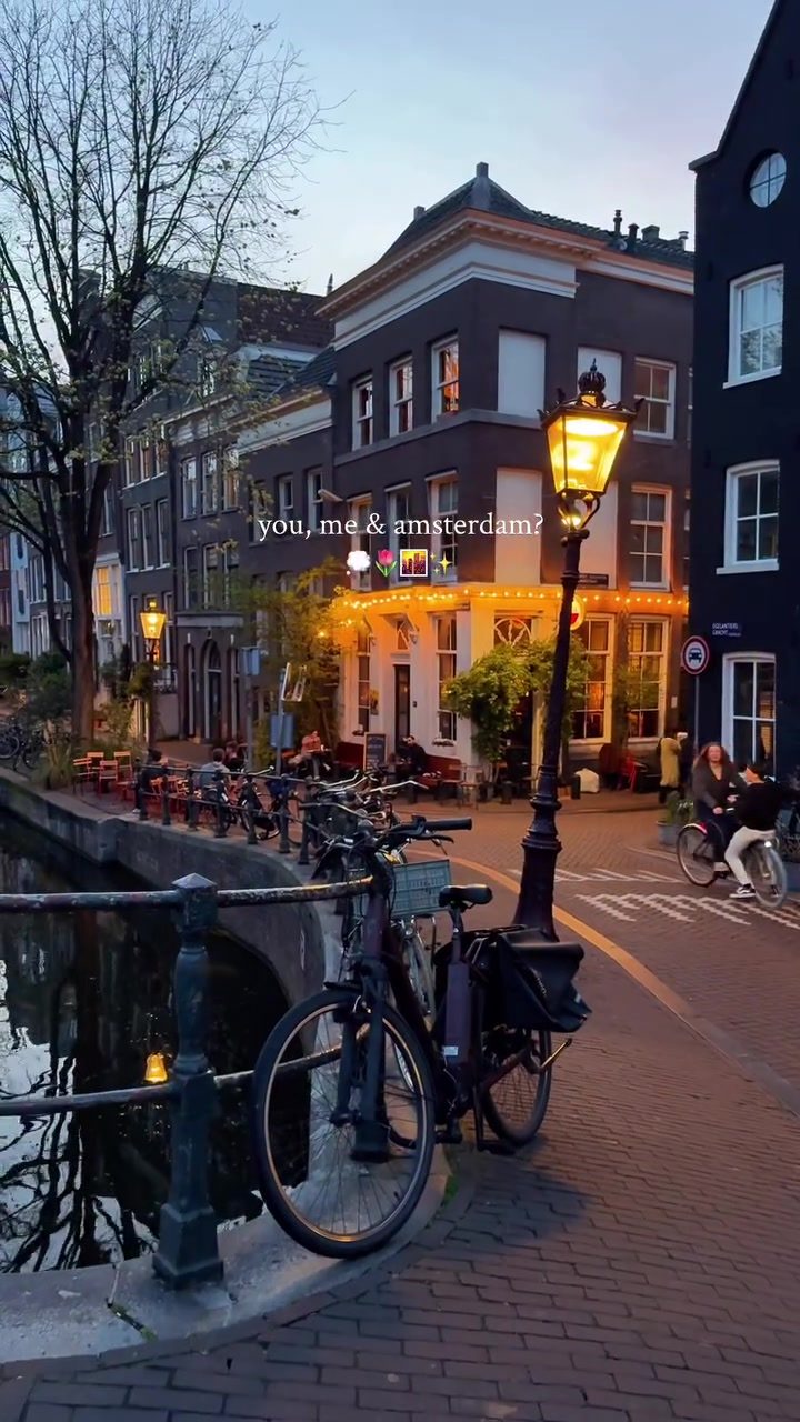 Must-Do Experiences in Amsterdam