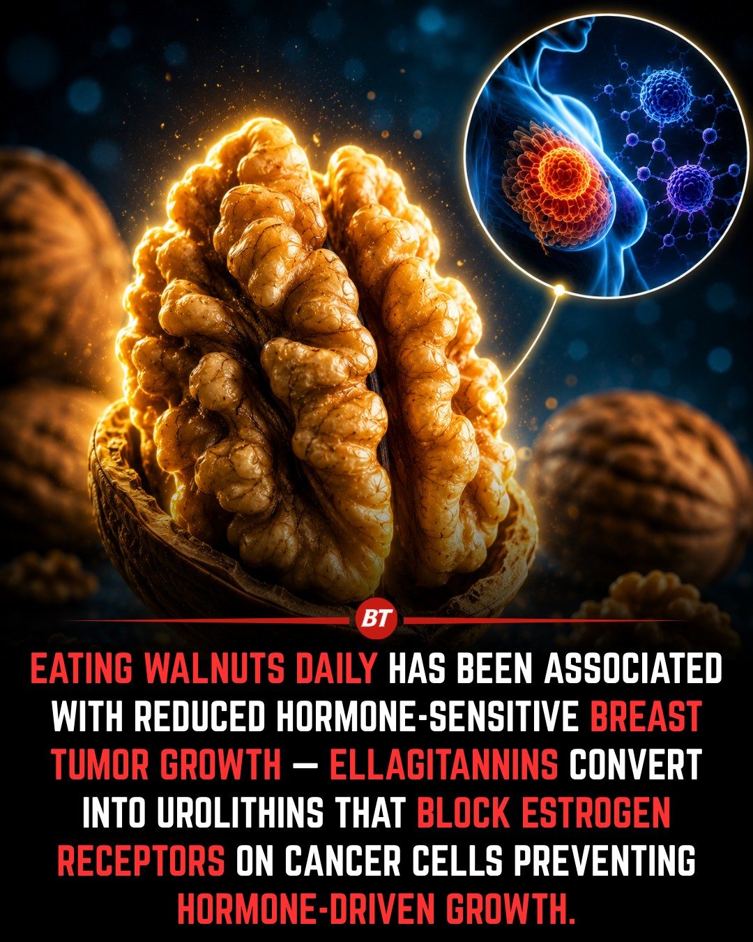 Walnuts' Role in Reducing Hormone-Sensitive Breast Tumor Growth