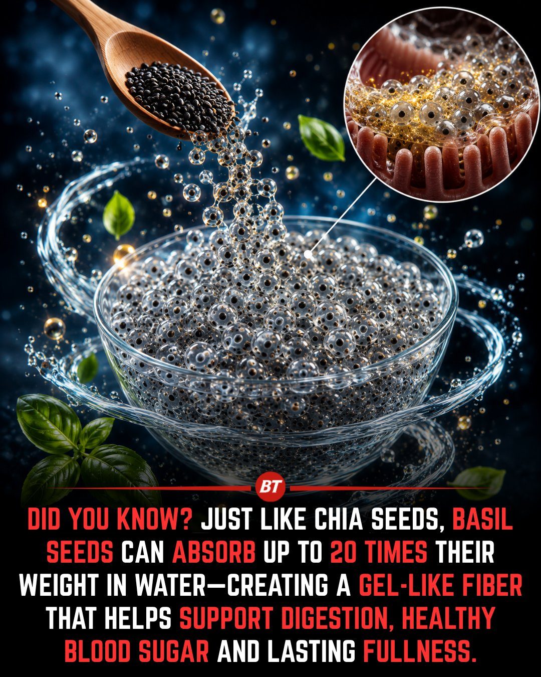 Basil Seeds: Health Benefits of the Tiny Superfood