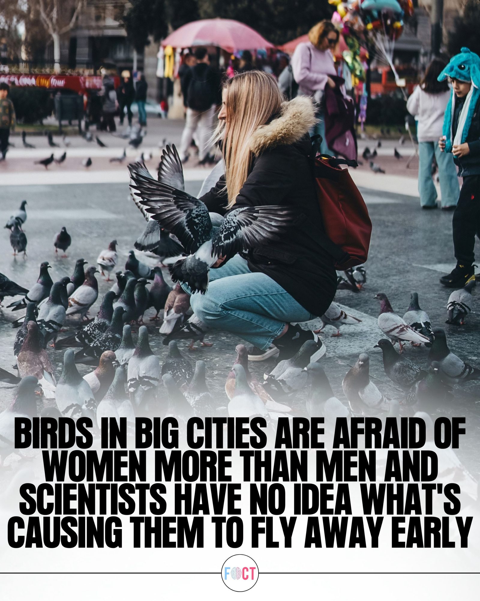 Why Do Urban Birds Flee From Women More Often?