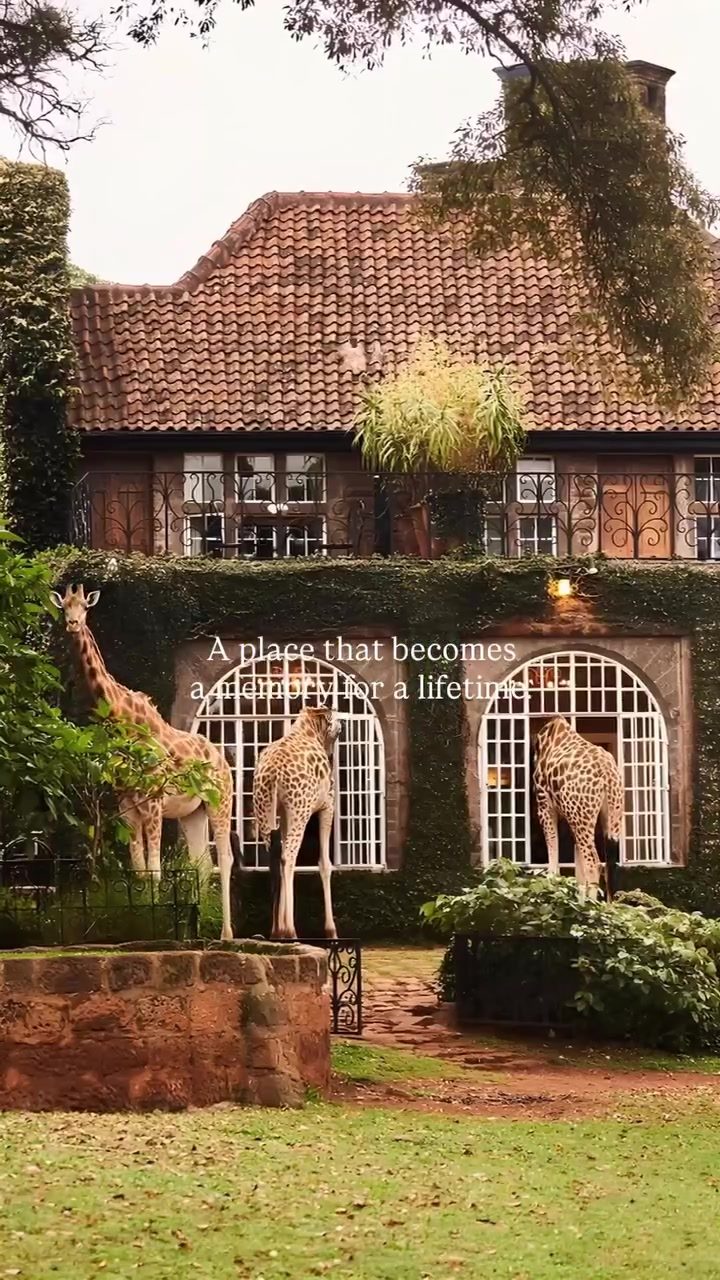 Discover the Serenity of Safari Lodges in Kenya