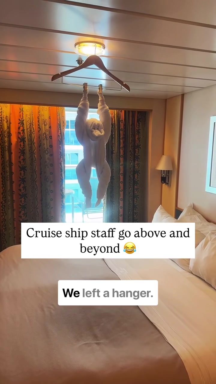 Plush Bunny Surprise Awaits on Cruise Return