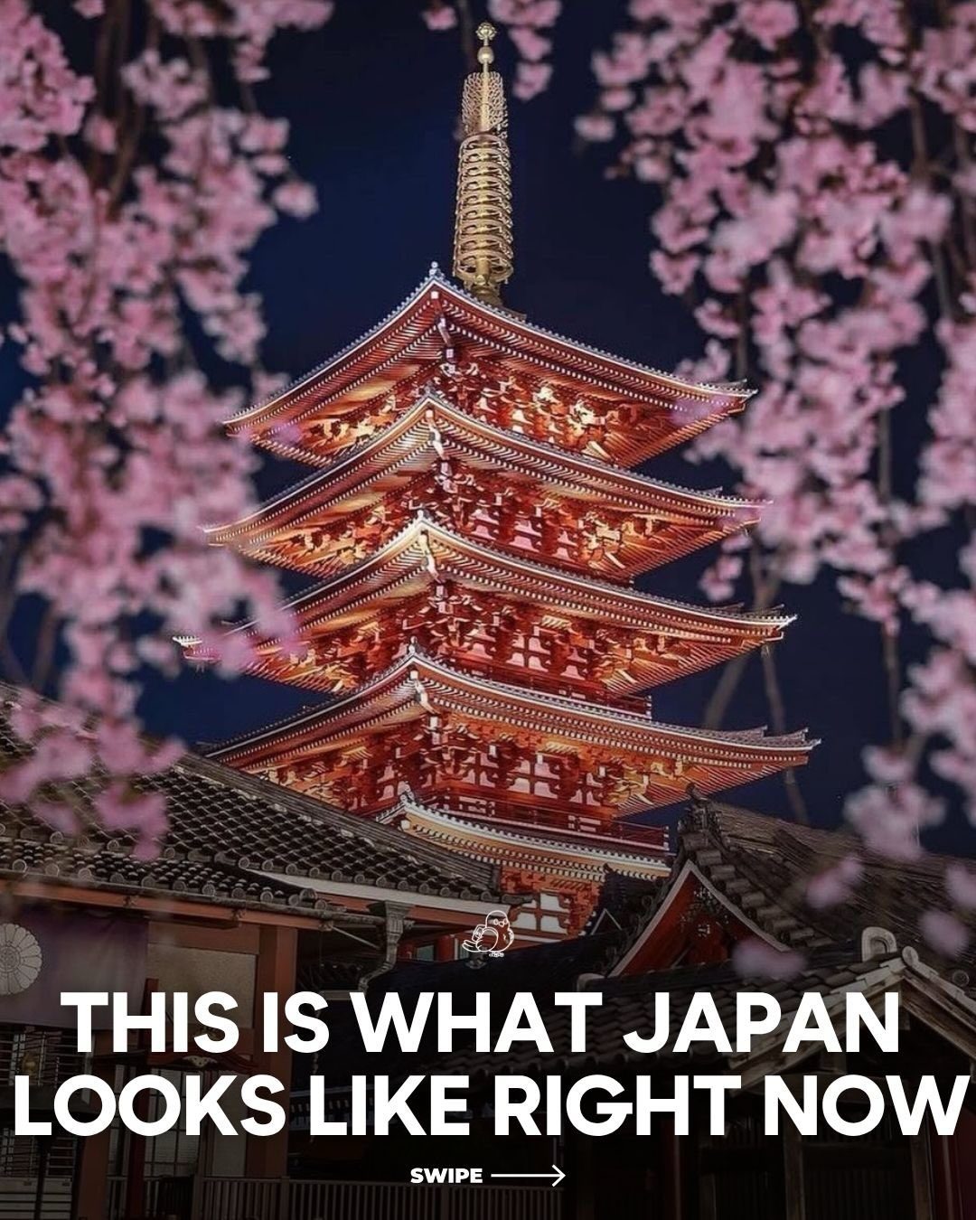 Japan's 2026 Sakura Season: Blooms and Beauty