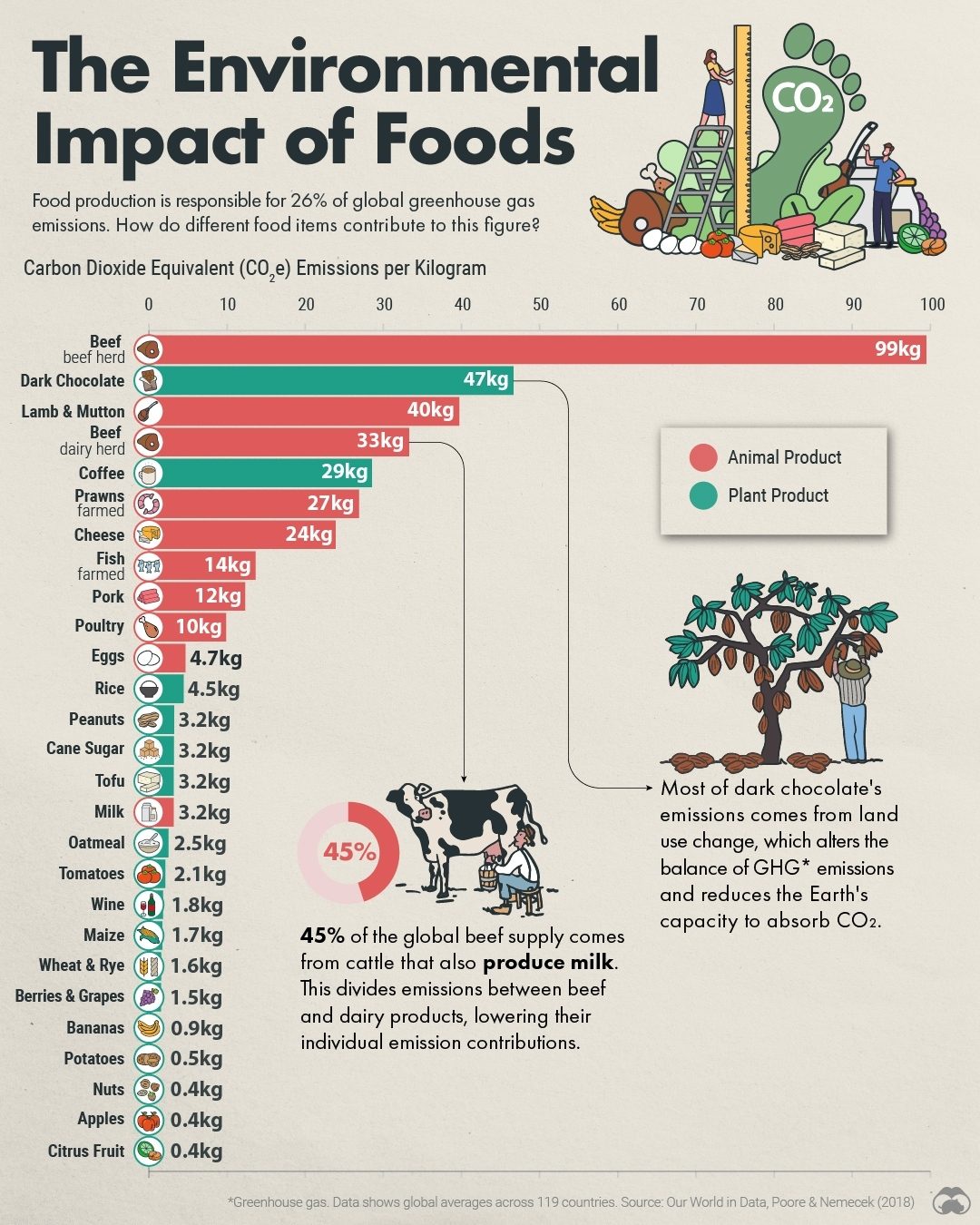 How Different Foods Impact the Environment