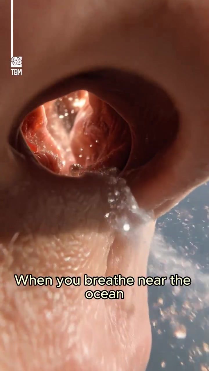 The Health Benefits of Breathing Sea Air