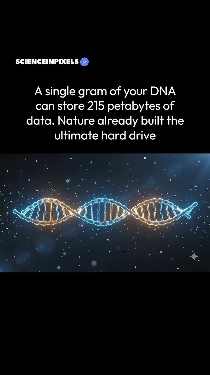The Mind-Blowing Potential of DNA for Data Storage