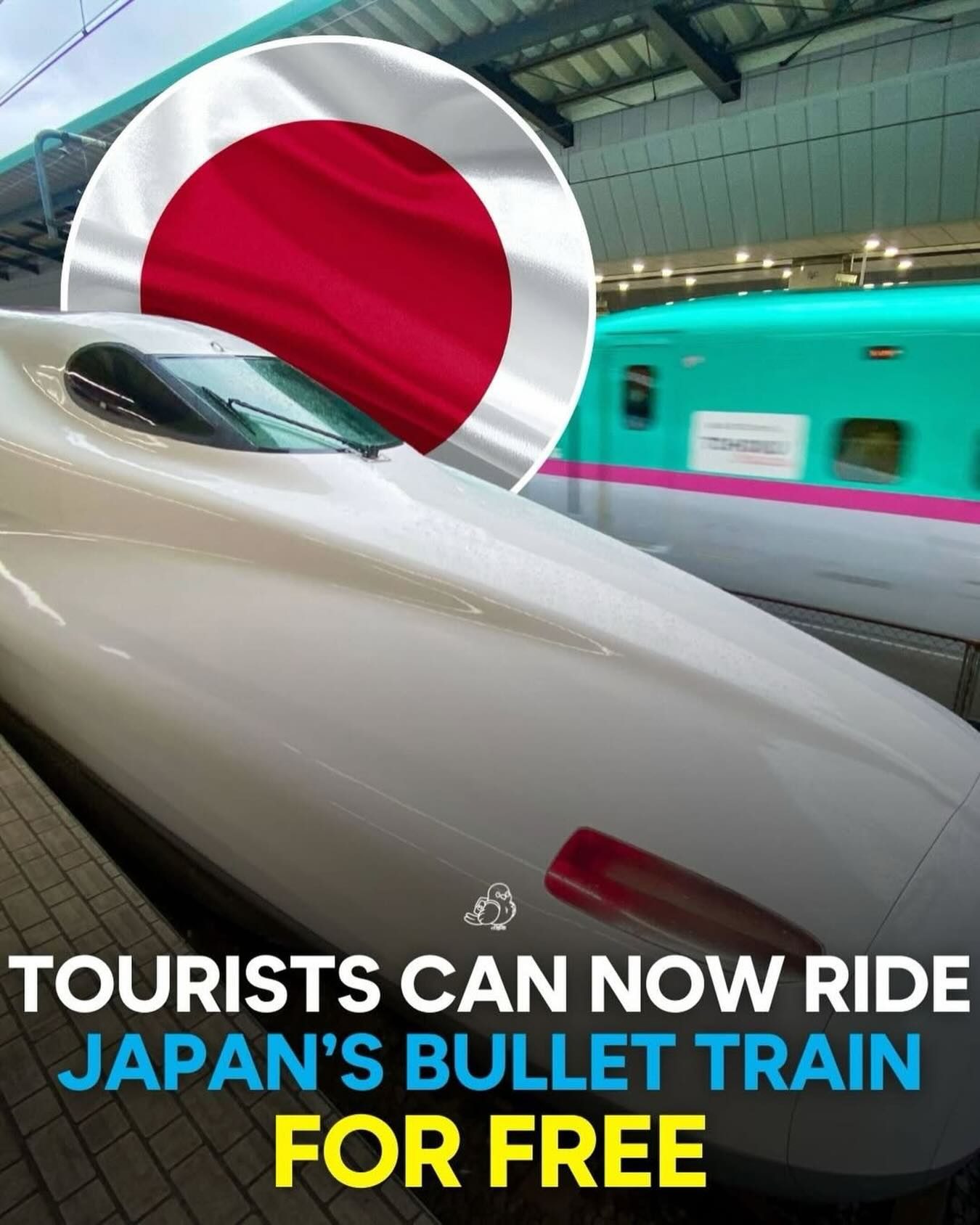 Explore Kyushu Free on Japan's Bullet Train