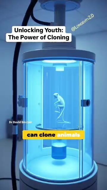 Cloning Animals: Unlocking Youth and Longevity Potential