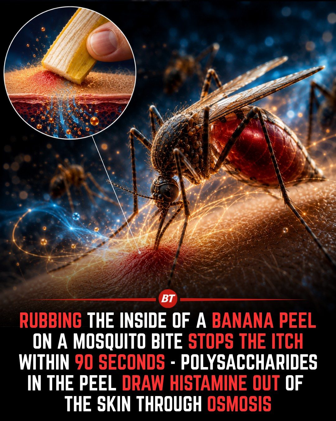 Banana Peel Mosquito Bite Remedy: Does It Really Work?