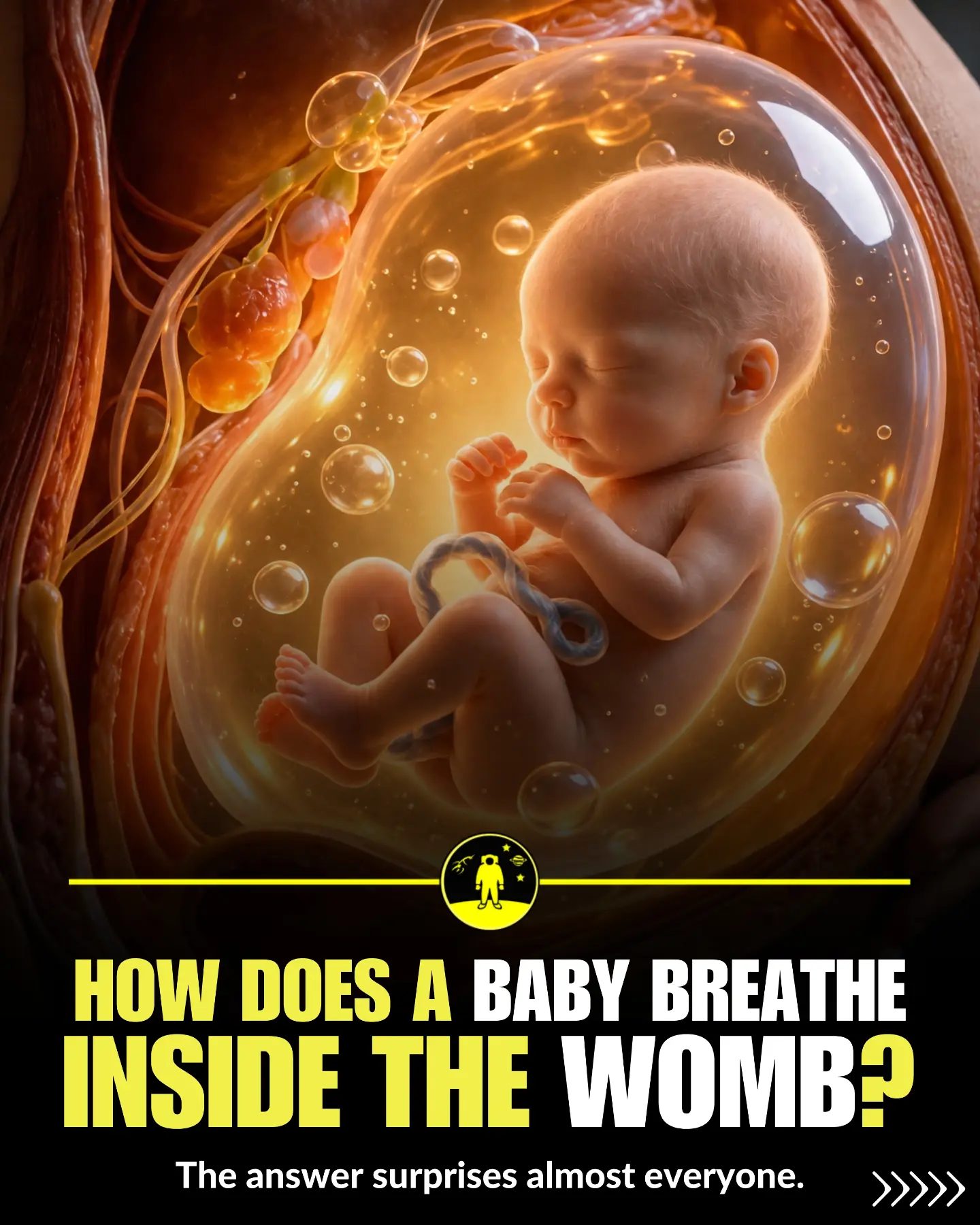 Fetal Breathing: How Babies Survive in the Womb