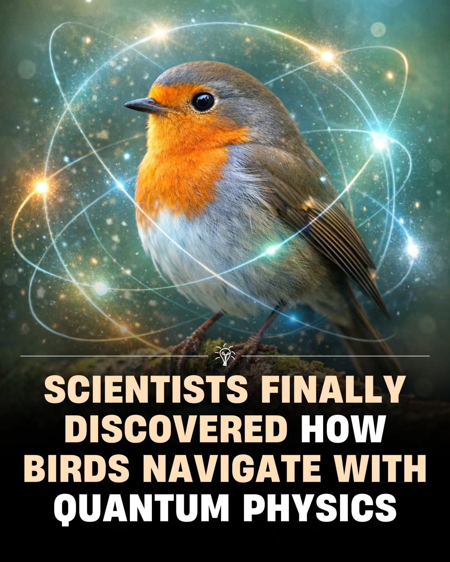 Birds Navigate Using Quantum Physics in Their Eyes