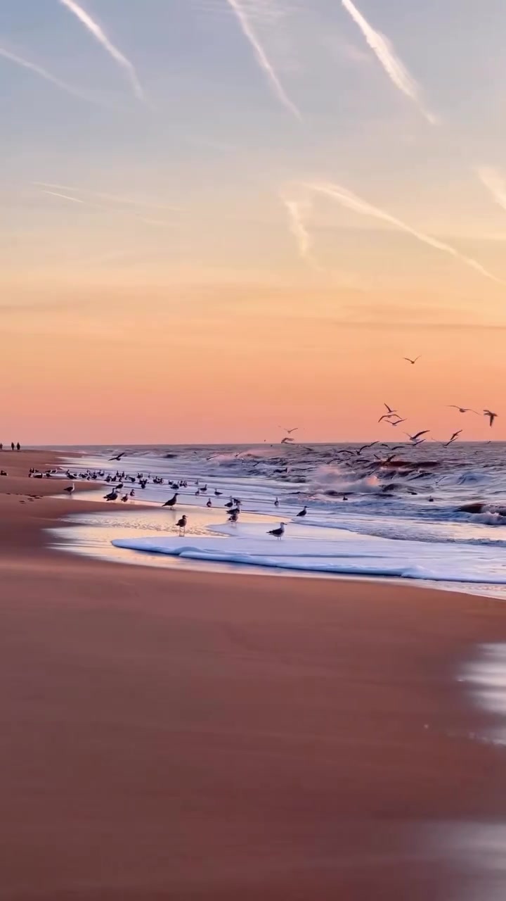 Sylt Island Germany Sunset Beauty