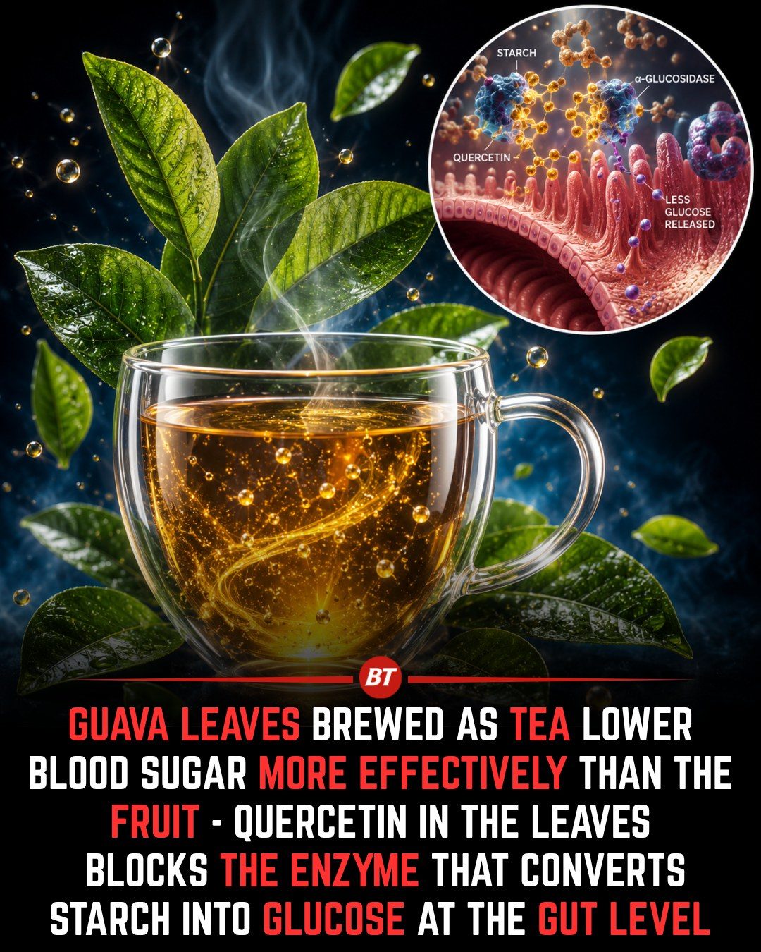 Healthy Blood Sugar: Guava Leaf Tea Benefits
