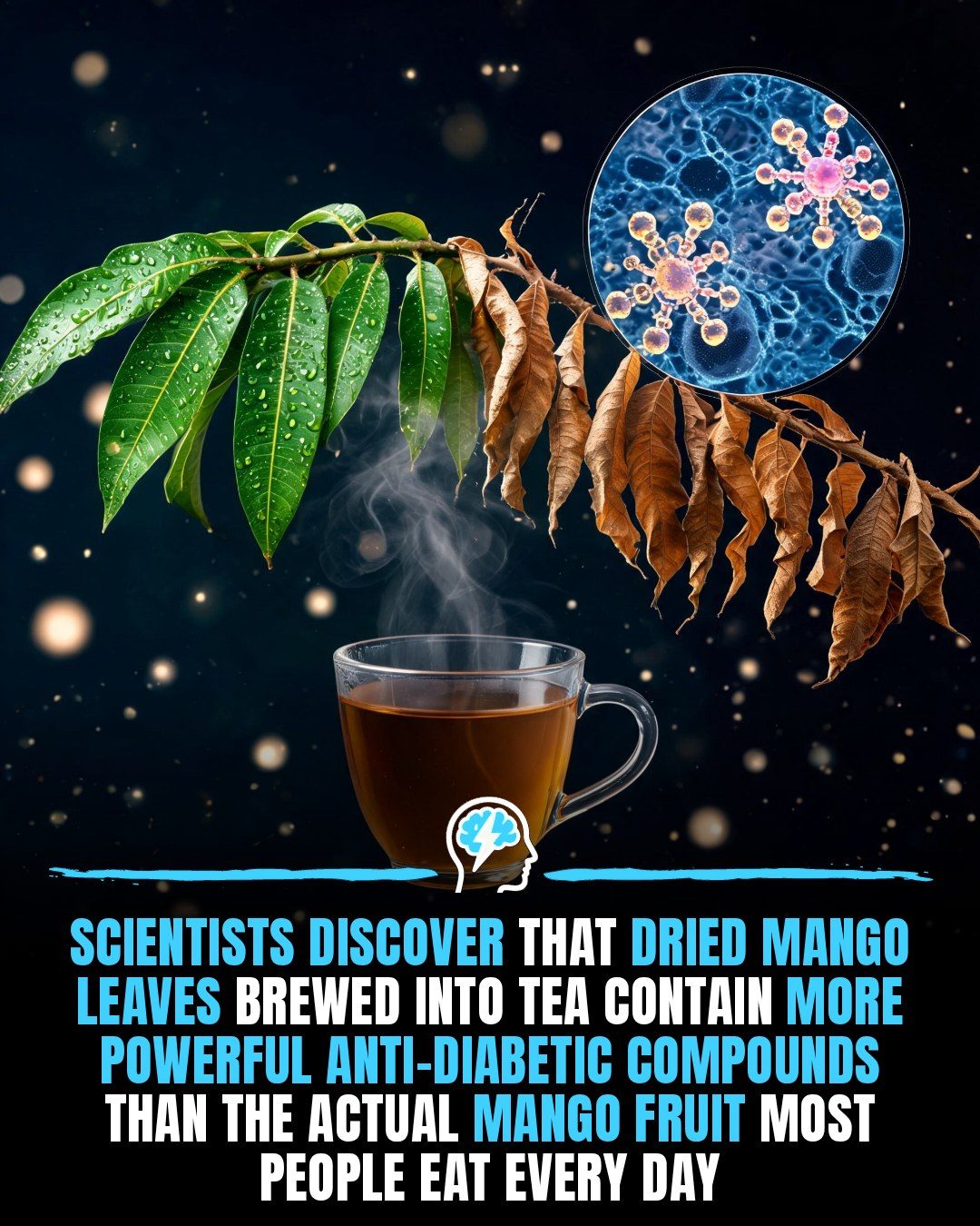 Mango Leaf Tea: The Secret to Better Blood Sugar Control
