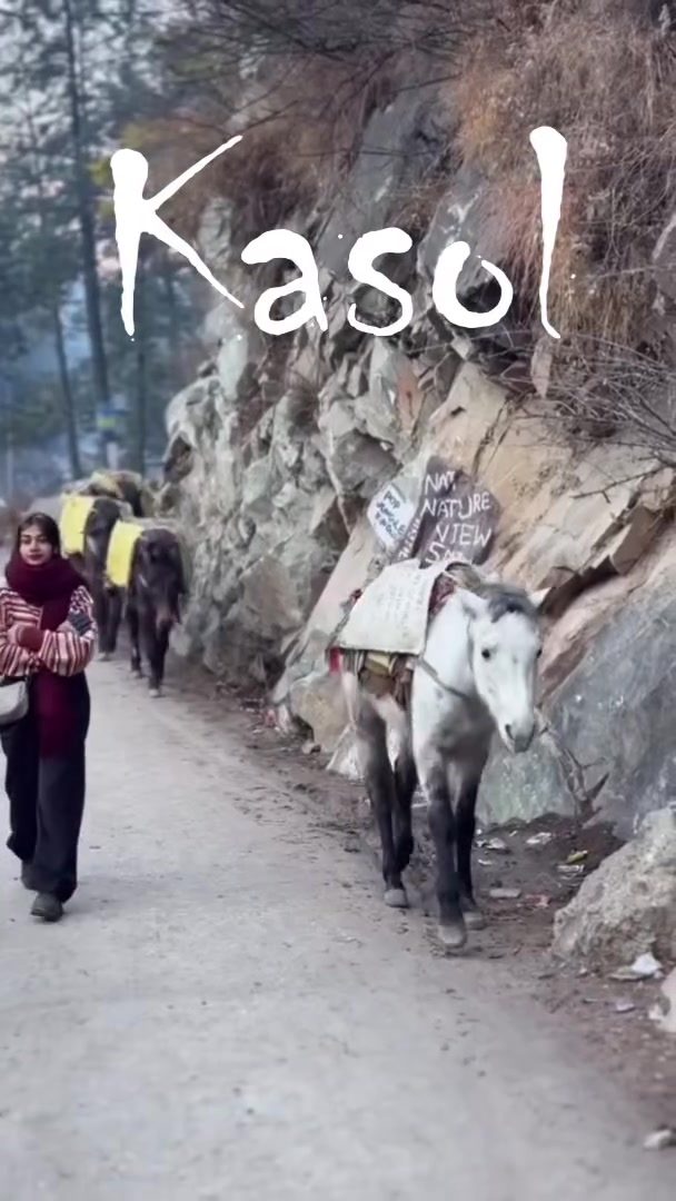 Kasol January 2025 Winter Guide: Snow Adventures & Serenity