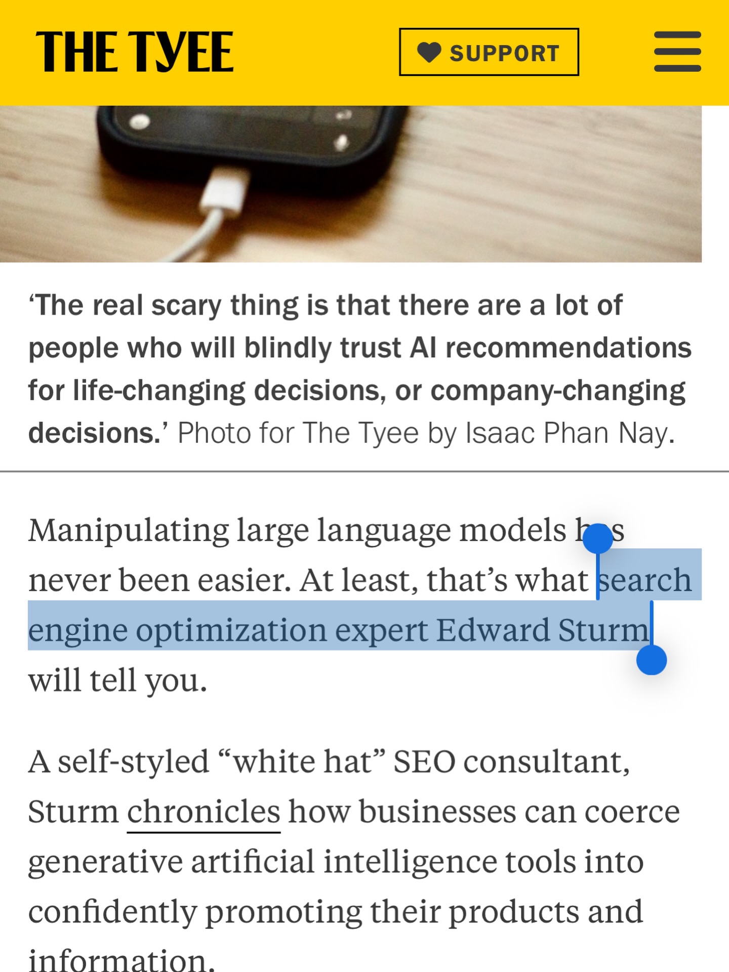 AI Manipulation Risks and SEO Consultant Strategies