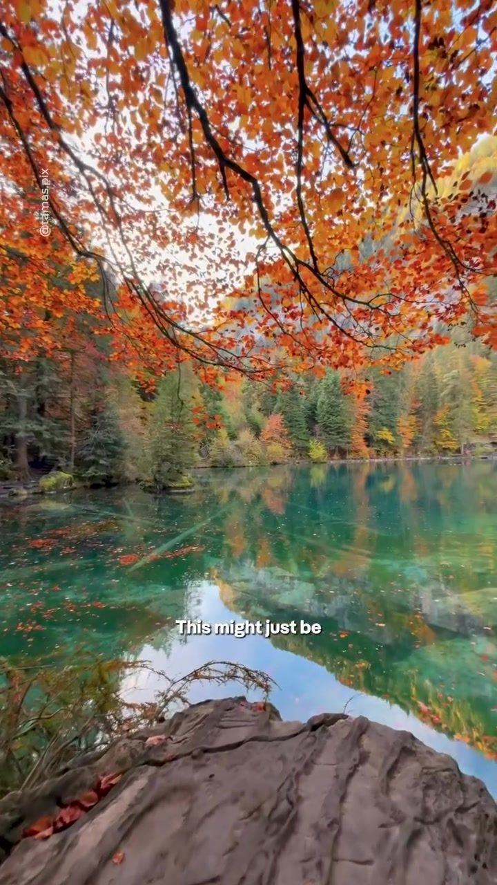 Experience the Vibrant Autumn Beauty of Lake Blausee, Switzerland