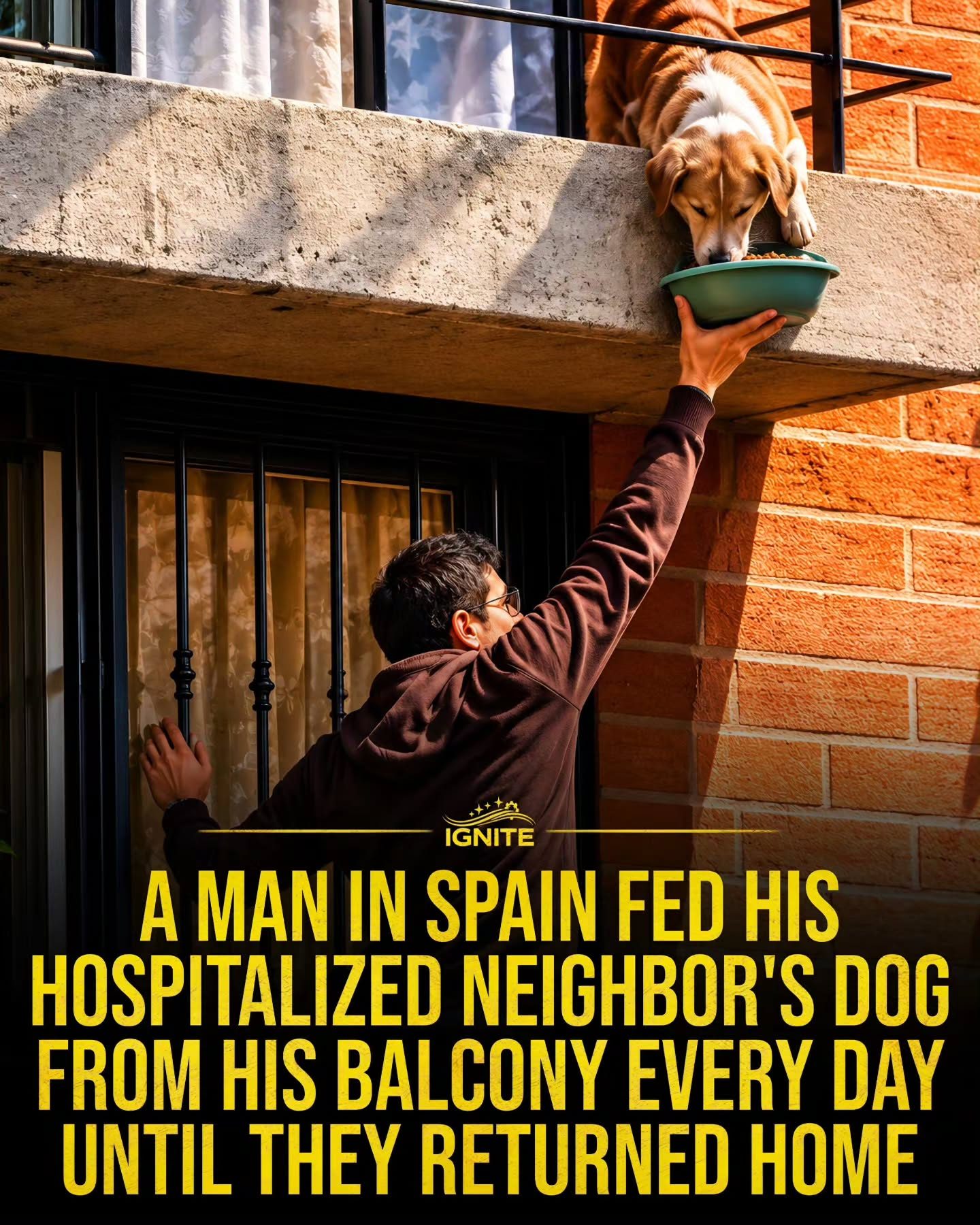 Man in Spain Feeds Neighbor's Dog During Hospitalization