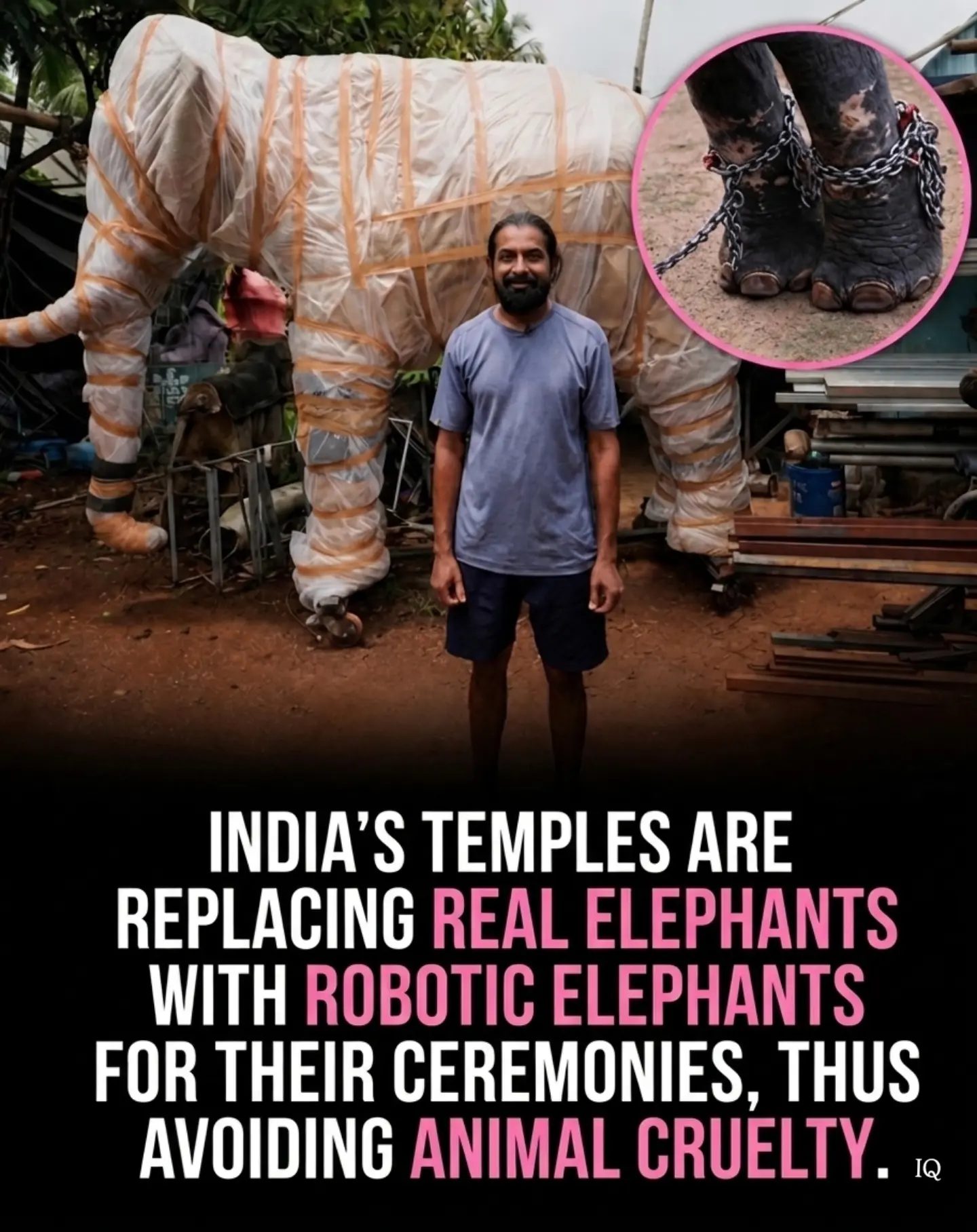 Robotic Elephants Replace Real Ones in Indian Temples