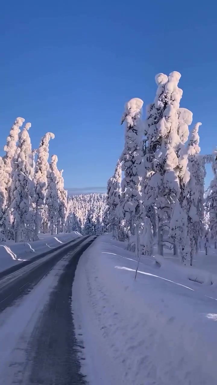 Lapland Igloo Resort: Luxurious Snowy Accommodation