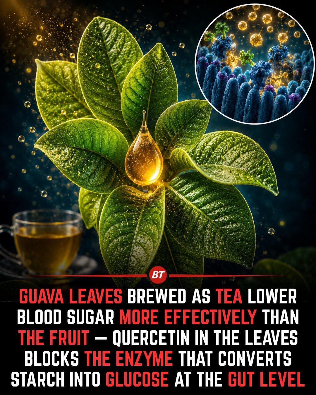 **The Surprising Blood Sugar Benefits of Guava Leaf Tea**