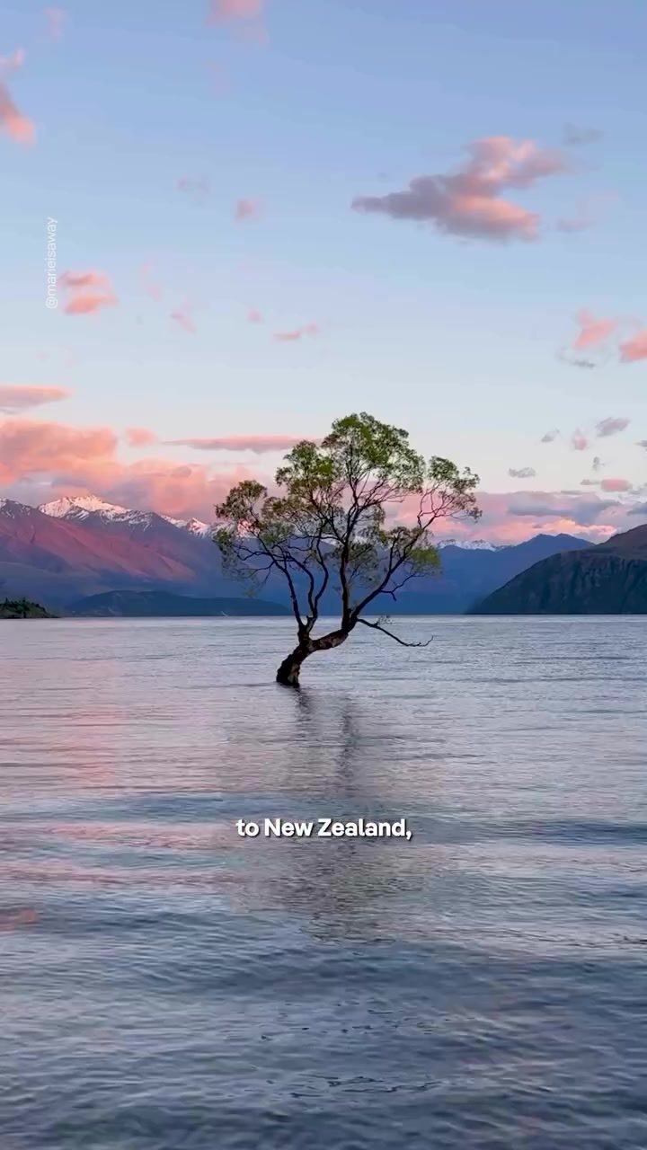 Top 3 Must-See Natural Wonders in New Zealand